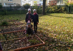 Dziewczynki przy grządkach w ogrodzie przedszkolnym. Dwie stoją, jedna kuca